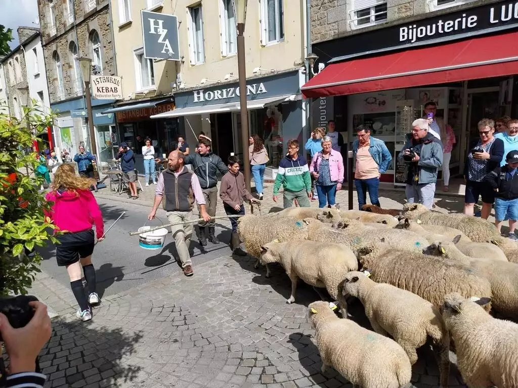 Un groupe de jeunes conduisant des moutons dans une rue animée, avec des spectateurs observant la scène.