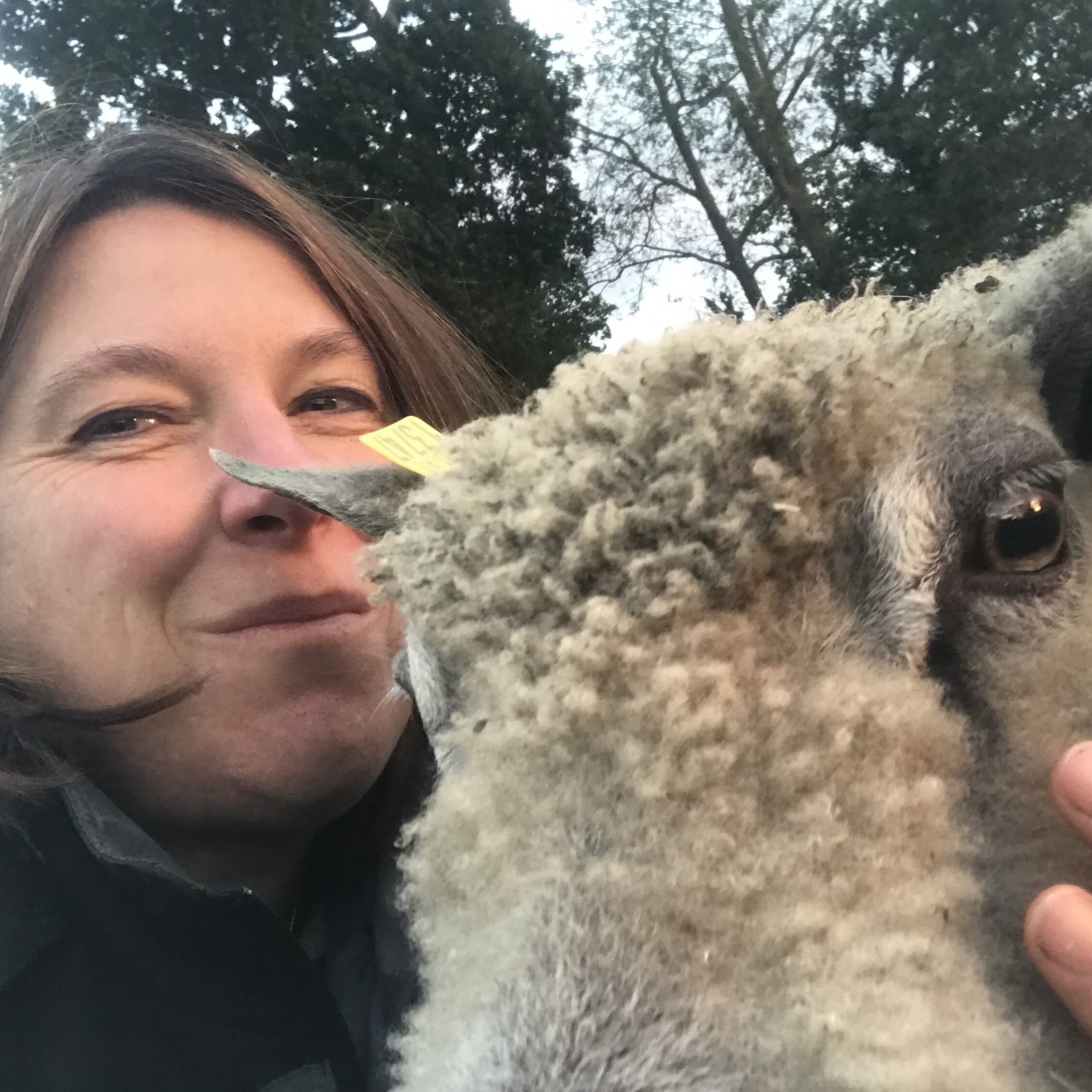Femme souriante posant avec un mouton aux cheveux laineux, représentant la durabilité de l'entreprise Laines sous les Pommiers.