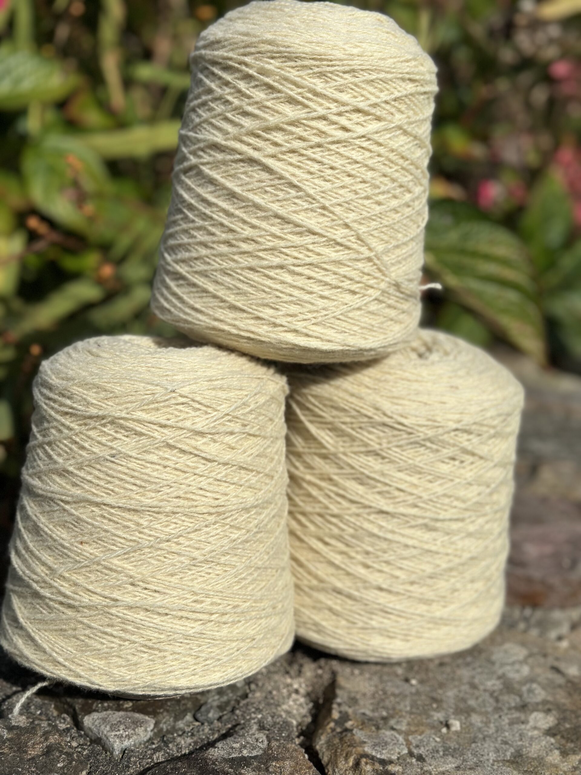 Pelotes de laine naturelle de laines sous les pommiers, prêtes pour des créations artisanales normandes.