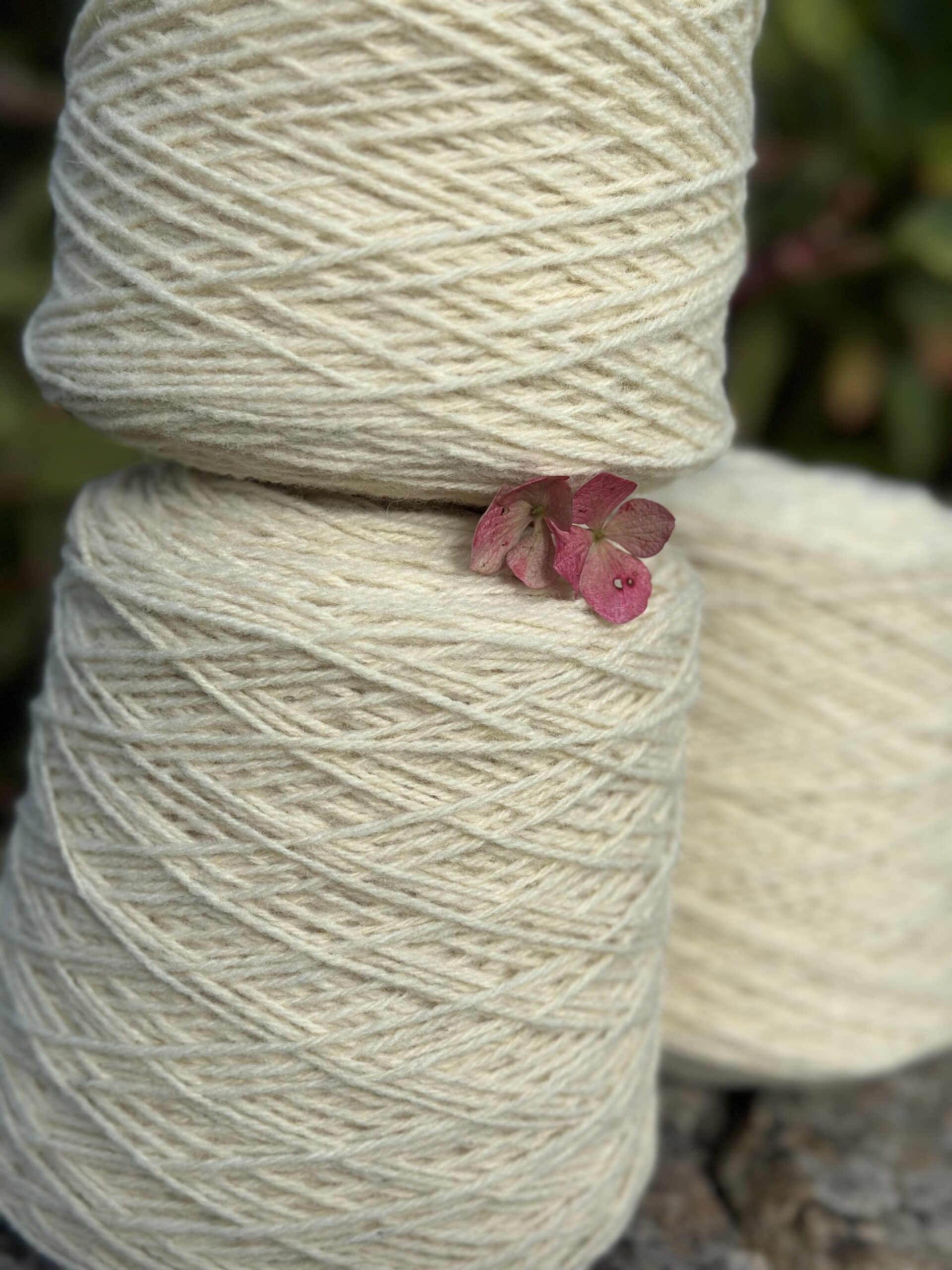 Bobines de laine pure de race normande, accompagnées d'une fleur, sur fond de prairies verdoyantes.