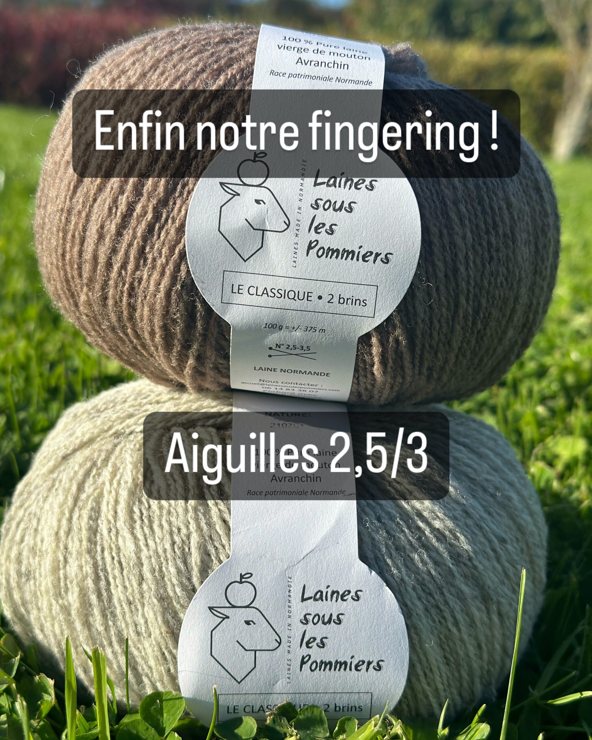 Pelotes de laine de mouton de la marque "Laines sous les Pommiers", avec étiquettes indiquant des spécifications et couleurs naturelles.