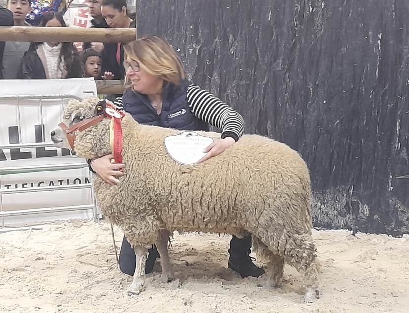 Femme posant avec un mouton Avranchin primé lors d'un événement agricole, mettant en avant l'artisanat local.