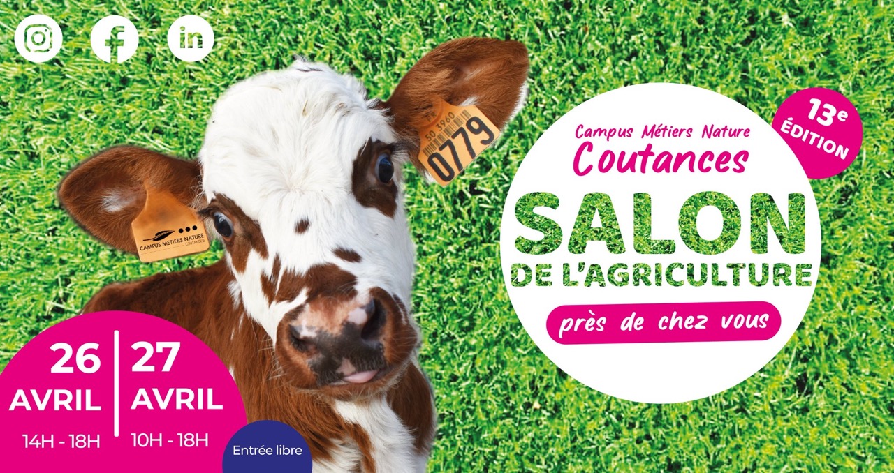 Portrait d'un veau avec une étiquette d'identification, sur un fond d'herbe verte pour un salon de l'agriculture.