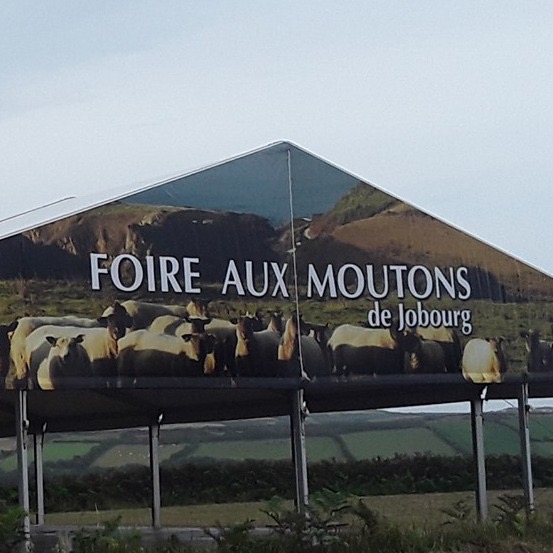 Image d'une enseigne annonçant la Foire aux Moutons de Jobourg, avec des moutons en arrière-plan.