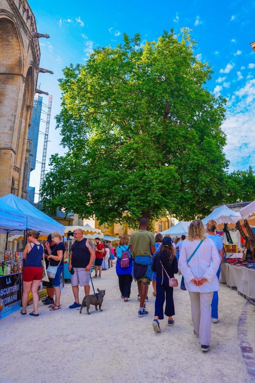 Marché en plein air avec des kiosques, des visiteurs et un grand arbre sous un ciel bleu.
