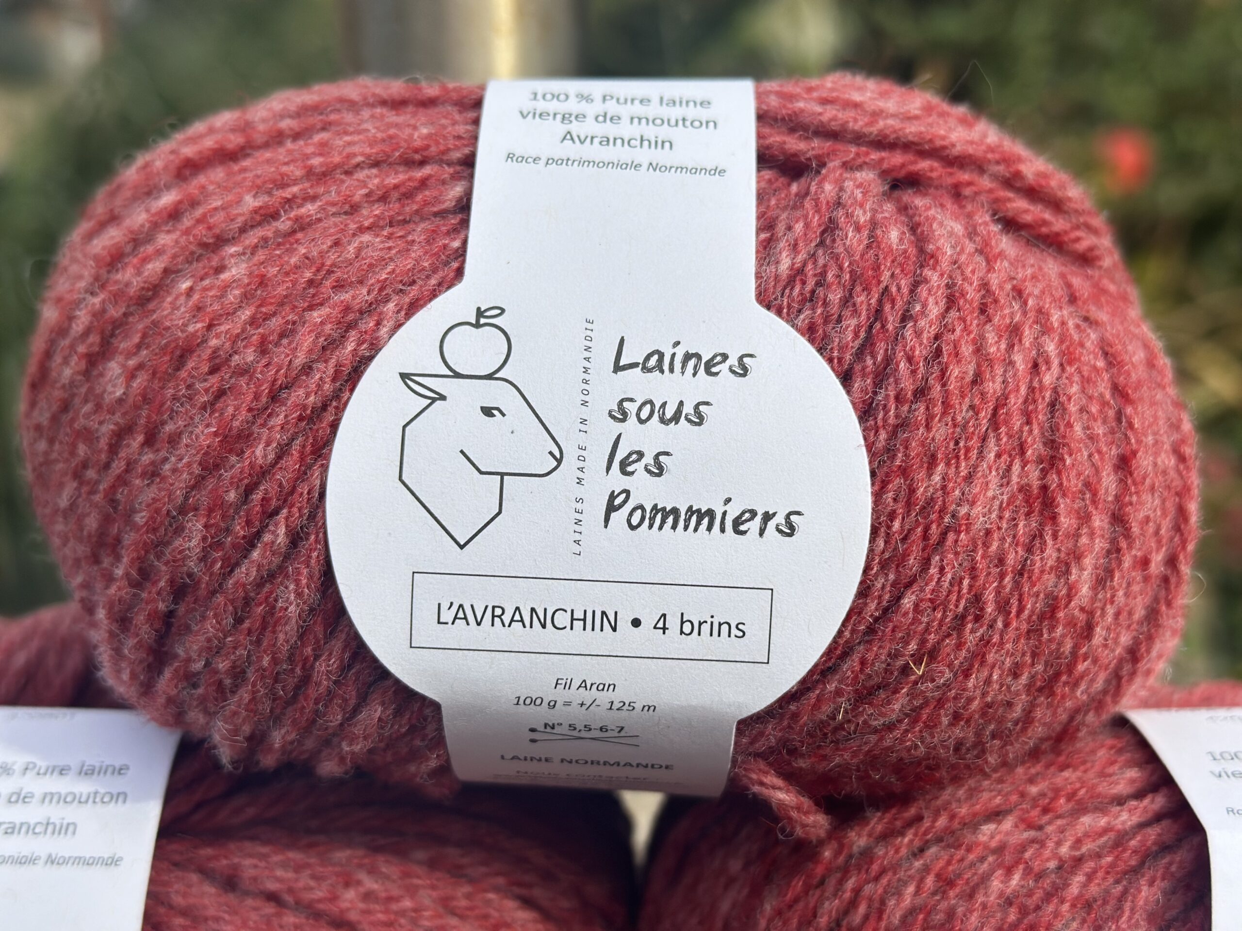 Pelote de laine Aran 100% pure laine de mouton Avranchin, marque Laines sous les Pommiers, couleur rouge chiné.