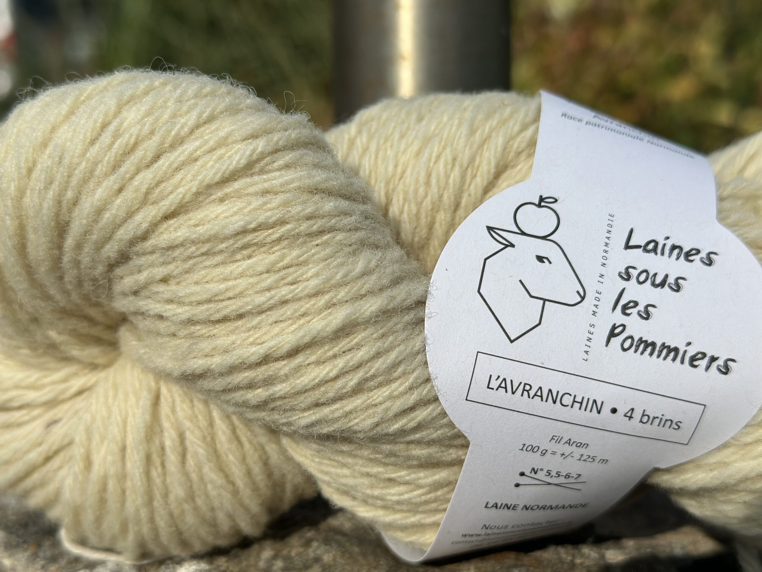 Écheveau de laine Aran L'Avranchin, 100 g, produit localement par "Laines sous les Pommiers" en Normandie.